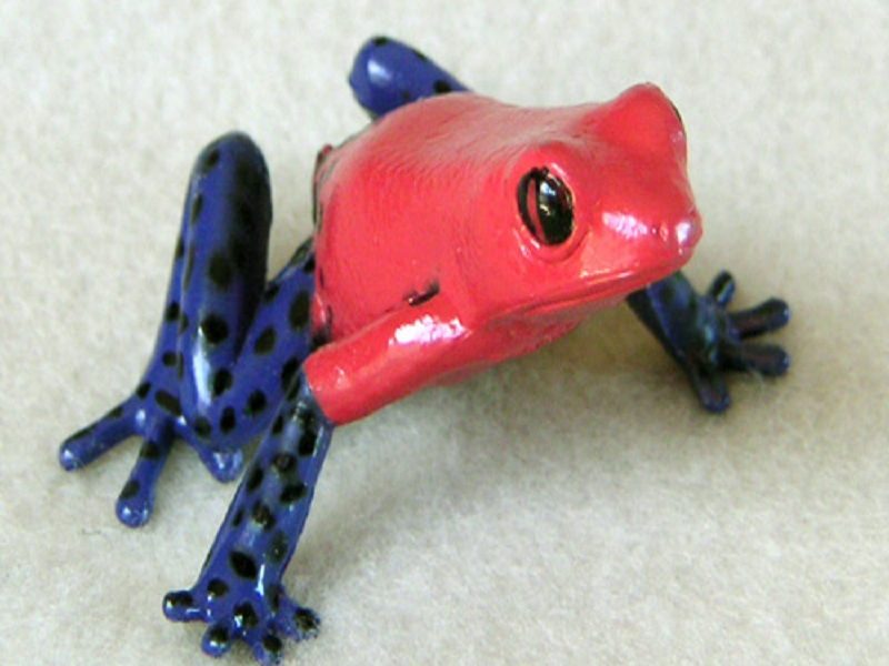 MINOLTA DIGITAL CAMERA